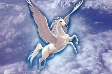 Pegasus wallpaper 9 30487 HD Wallpapers