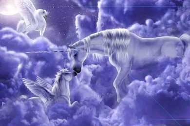 Mythical Creatures On Pinterest