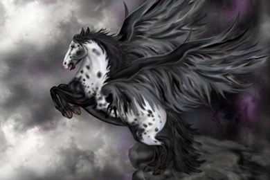 54+ HD Pegasus Wallpapers & Background Images