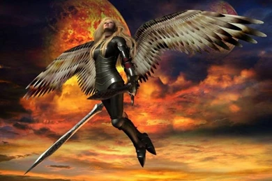 Fantasy Art Angel Warriors