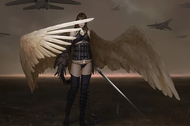 196 Angel Warrior HD Wallpapers