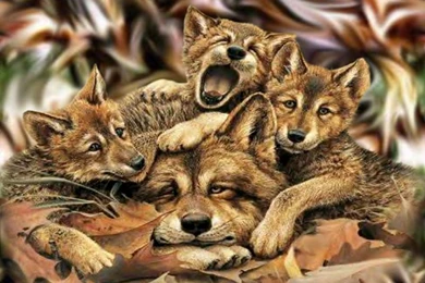 Wallpapers Of Wolves