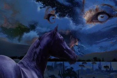 Free Pictures Of Wolves