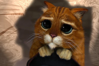 Shrek 2 Cat, 1366x768 Pixels : Wallpapers Tagged Fun Wallpapers ...