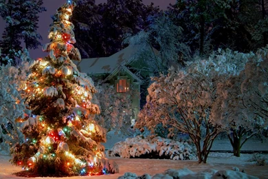 Best Collection Of Christmas Wallpapers Wallpapers   Gethdpics.com