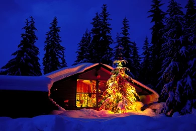 Download Christmas Cabin And Tree In Deep Snow Wallpapers