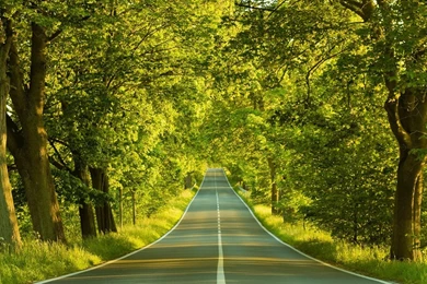 Relaxing Backgrounds Guitar Music   Meditate, Focus, Study, Think ...