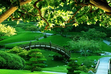 3 HOURS Meditation Relaxing Music