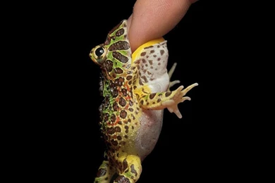 Cool Funny Wallpapers