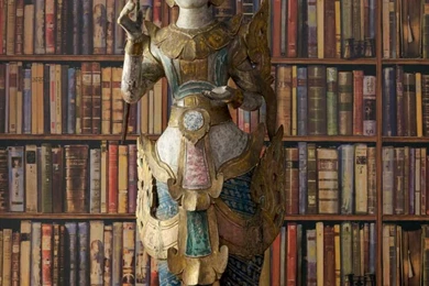 Library Wallpapers   View Designs   Wallpapers   Andrew Martin