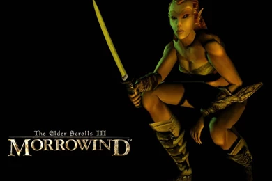 The Elder Scrolls III: Morrowind Wallpapers » Page 4 » The Elder ...