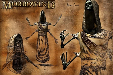 The Elder Scrolls III: Morrowind Computer Wallpapers, Desktop ...