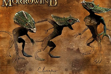 Wallpapers » Page 9 » The Elder Scrolls: Fan Site