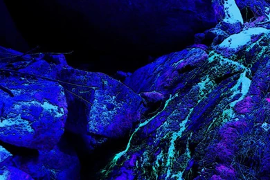 20+ Best HD Black Light Wallpapers