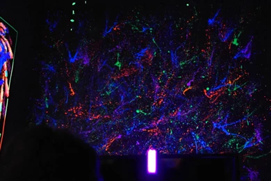 My Blacklight Room (Redecorated) + MORE   YouTube