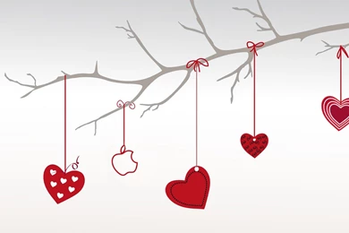 Valentine Day Wallpapers   HD Good Evening Images, Pictures, SMS ...