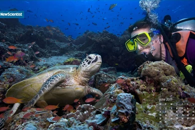 Backgrounds Screen Savers   Wallpapers Cave