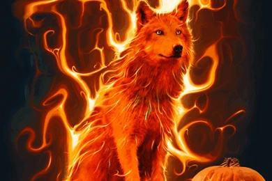 HOLIDAY FLAMING WOLF  Large Animation 4 Wallpapers By Aim4Beauty On ...