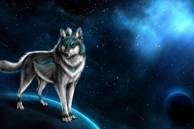 Wolf Wallpapers   Android Apps On Google Play