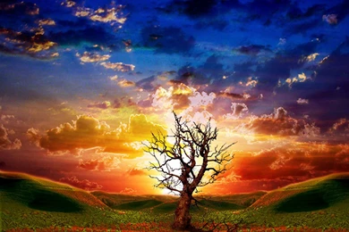 Animated Desktop Wallpapers