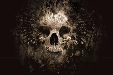 Wallpapers Skull Collection (38+)