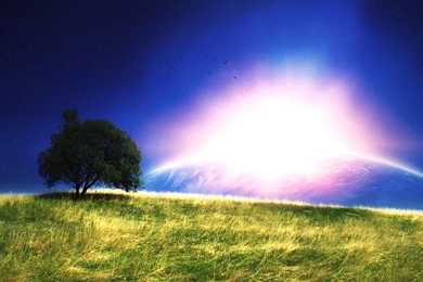 1920x1080 Fantasy Grass And Trees Scenery Backgrounds