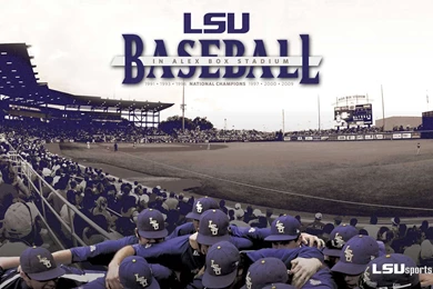 Lsu Baseball, 1920x1080 HD Wallpapers And FREE Stock Photo