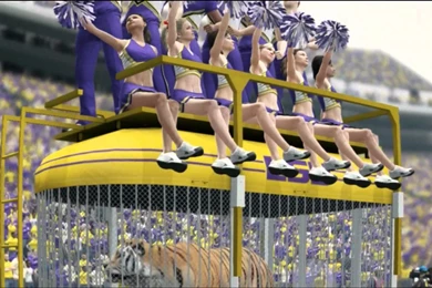 Lsu Tigers Football Free Download Image Id: 3658   7HDWallpapers