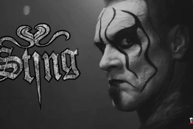 Sting Wallpapers   Images   Tbwnz.com