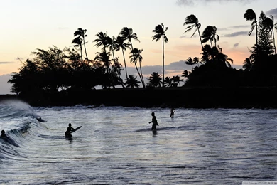 Bodyboarders HD Desktop Wallpapers : High Definition : Fullscreen ...