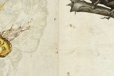 640x960 Ysambre   Steampunk Iphone 4 Wallpapers