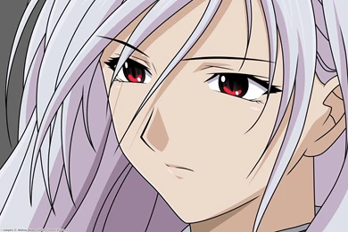 Red Eyes Akashiya Moka White Hair Rosario To Vampire Wallpapers ...