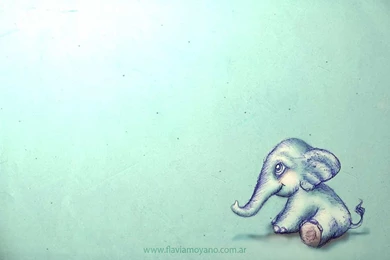Little Elephant Wallpapers 1280 X 800 By SeeTheMagic On DeviantArt