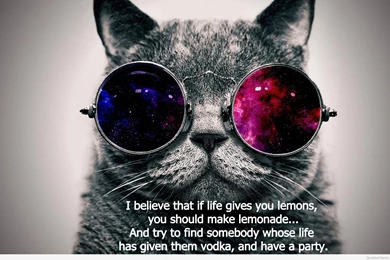 Funny Cool Wallpapers With Quote