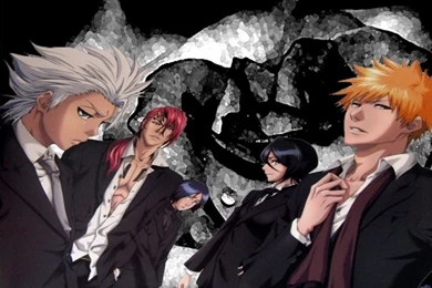GROUP   Bleach Anime Wallpapers (20898093)   Fanpop