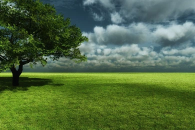 Hd Nature Wallpapers Collection (41+)