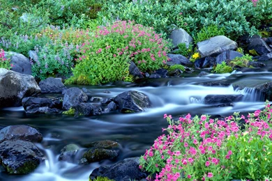 Beautiful Cool Cool River Nature Rivers Hd Desktop Wallpapers Images, Photos, Reviews