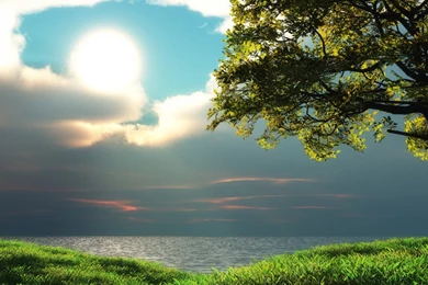 Full hd wallpaper live wallpaper computer desktop 1024x768.jpg