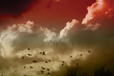 AndroidLust.com News: Wallpapers Design Contest Winners