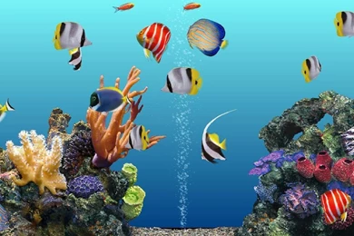 3d Aquarium
