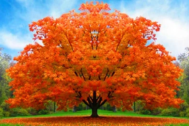 Category: Season Archives   HDWallay.com›› Page 0