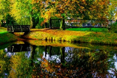 Fall Backgrounds For Computer – 1920×1200 High Definition ...