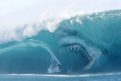 Amateur Friday – TIME SHARK!!!