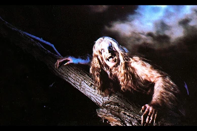 Ozzy Osbourne Heavy Metal Hard Rock Bands Groups Music ...