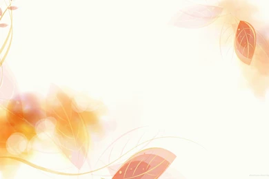 Elegant Border Wallpapers   HD Wallpapers