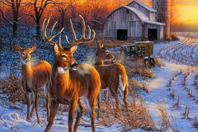 Winter Whitetail Deer Xmas New Year Paintings Christmas Animals ...