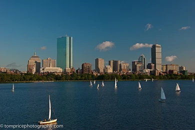 Wide View Of The Boston Skyline