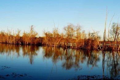 Awesome Dual And Quad Monitor Wallpapers Suitable For A Linux ...