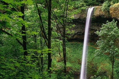 Forest Waterfall High Definition Wallpapers : Nature Wallpapers ...