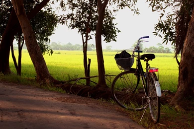 Cycling Feelings HD Awe inspiring Wallpapers Free HD Wallpapers ...